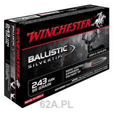 243Win BST 95gr