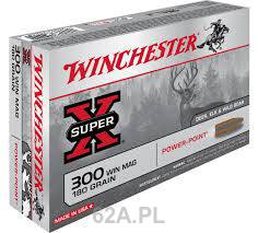 300WinMag  PowerPoint 11.7g  