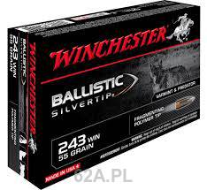 243Win BST 55gr